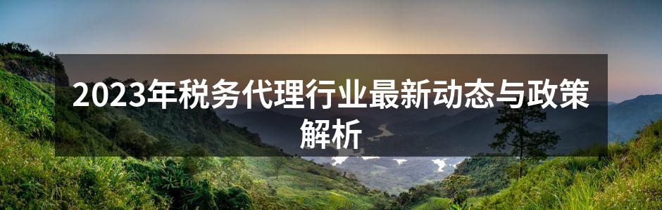 2023年税务代理行业最新动态与政策解析