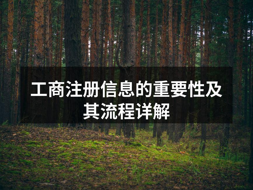 工商注册信息的重要性及其流程详解