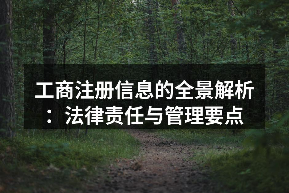 工商注册信息的全景解析：法律责任与管理要点