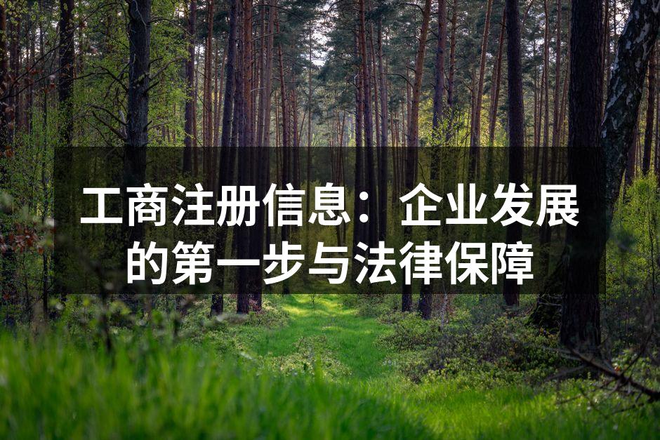 工商注册信息：企业发展的第一步与法律保障
