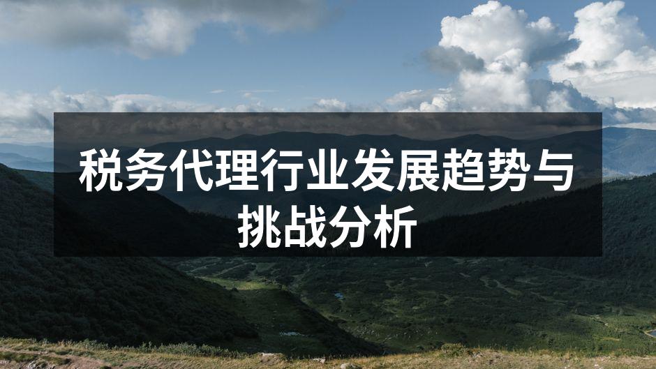 税务代理行业发展趋势与挑战分析