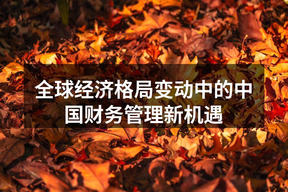 全球经济格局变动中的中国财务管理新机遇