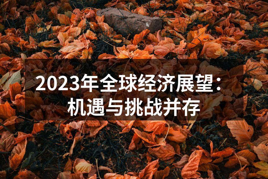 2023年全球经济展望：机遇与挑战并存